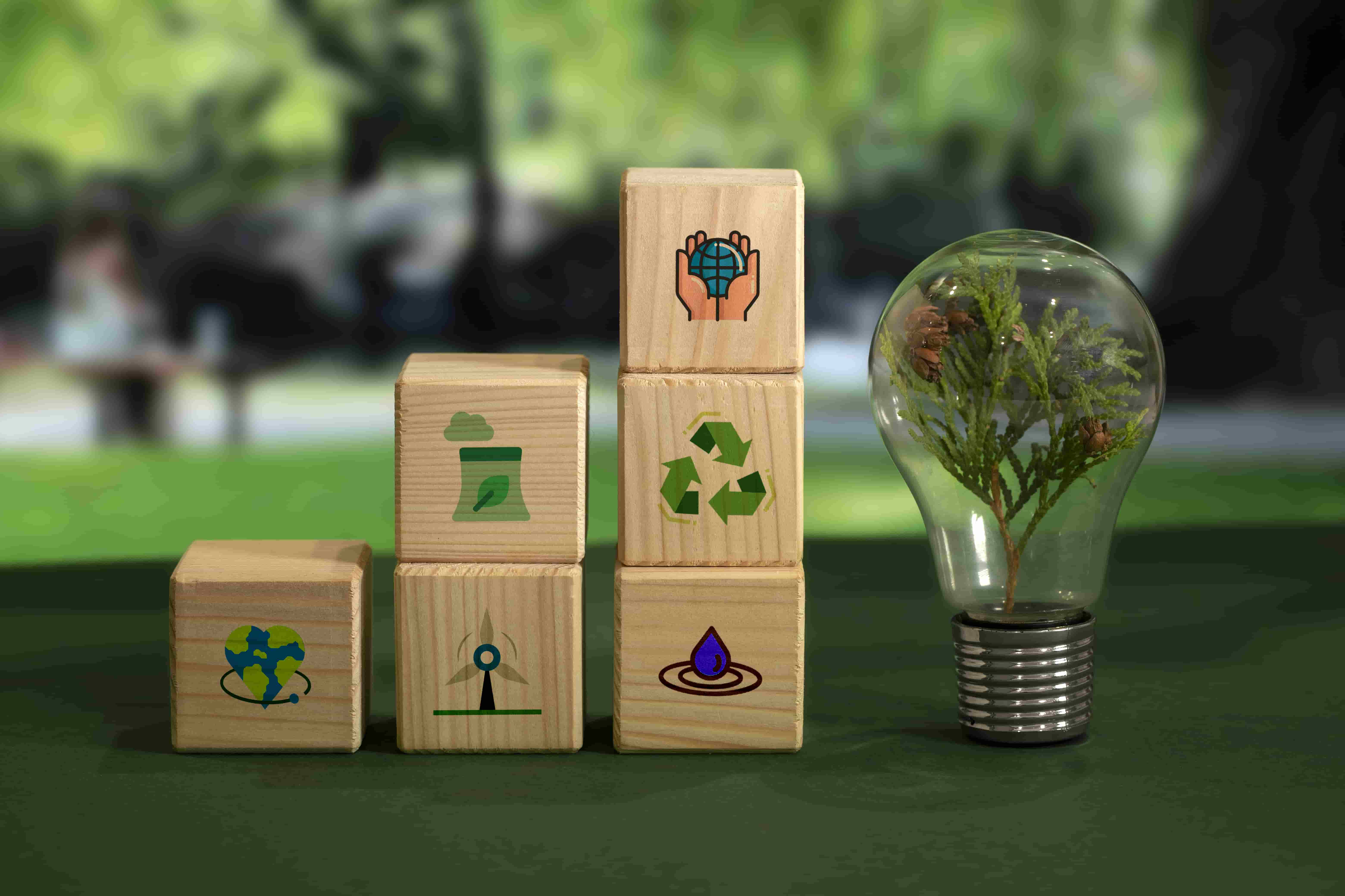 RapidWall and Sustainability